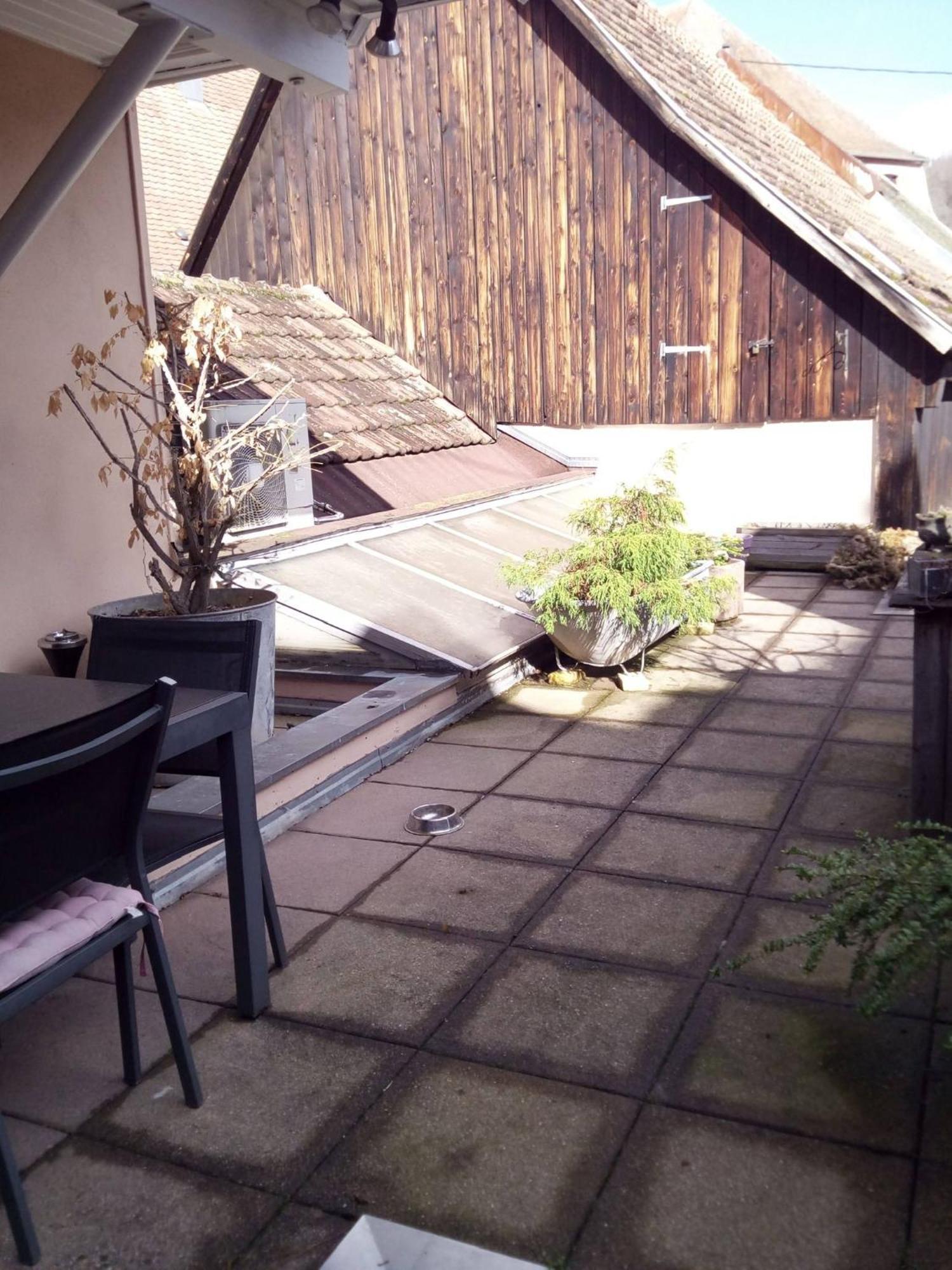"Cote Nature", Appartement Cosy Au Coeur De Munster 묑스테르 외부 사진