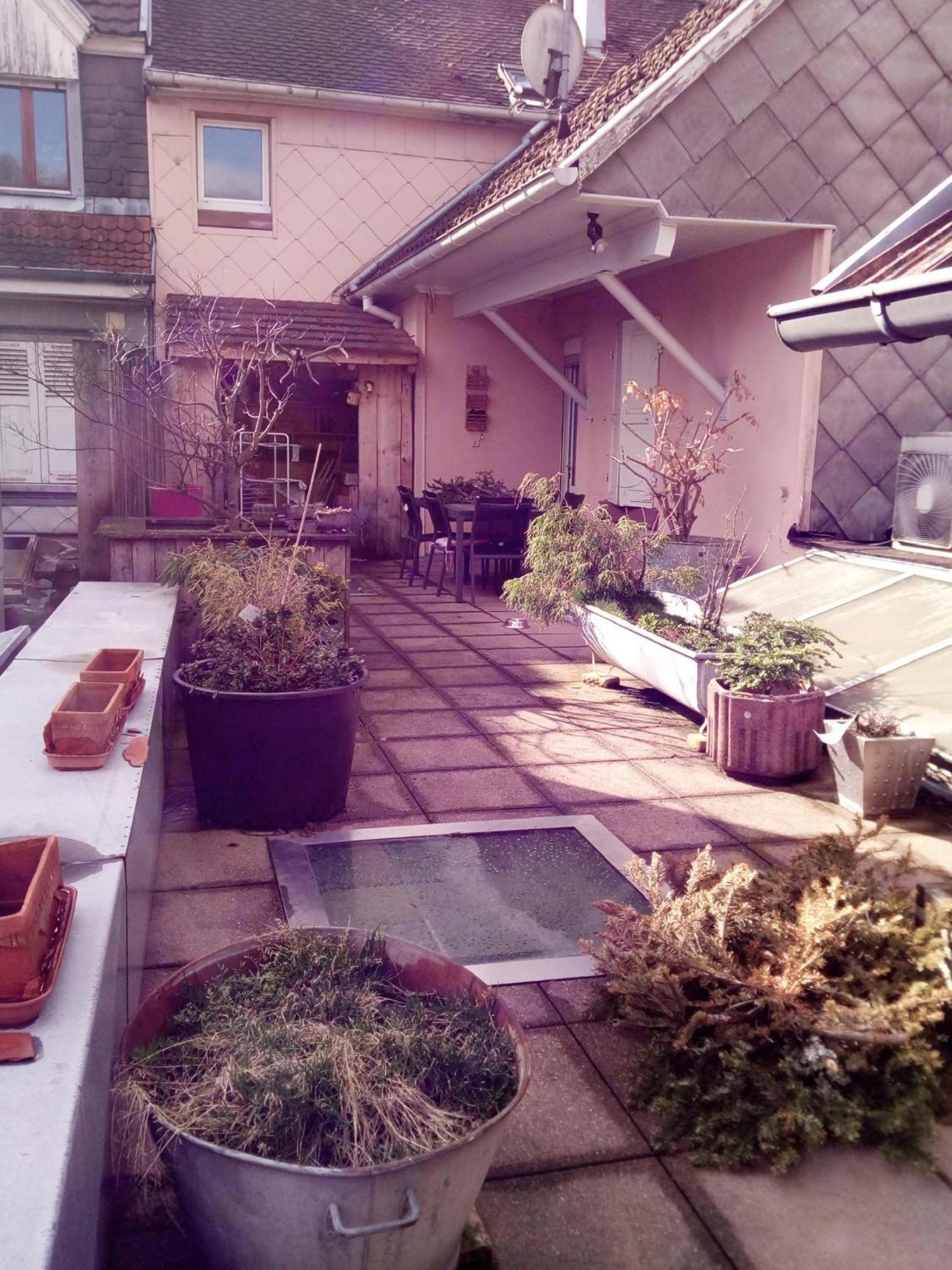 "Cote Nature", Appartement Cosy Au Coeur De Munster 묑스테르 외부 사진